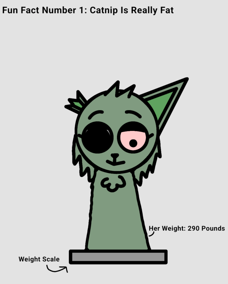 Ask Catnip Anything!